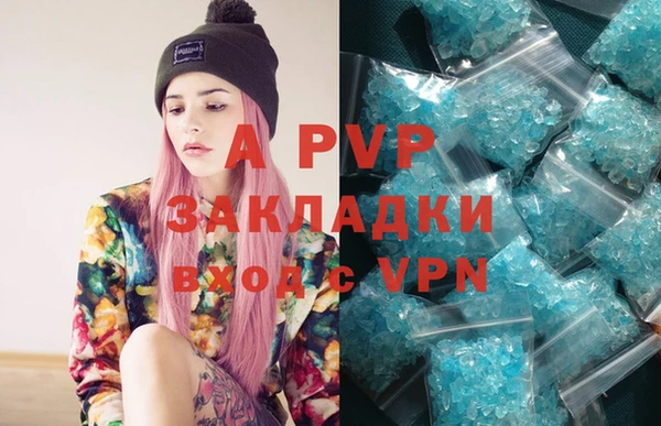 ГАЛЛЮЦИНОГЕННЫЕ ГРИБЫ Карталы