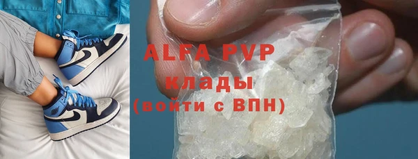 трава Белокуриха