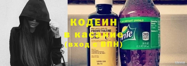 трава Белокуриха