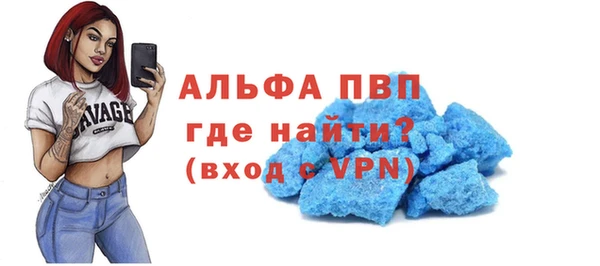трава Белокуриха