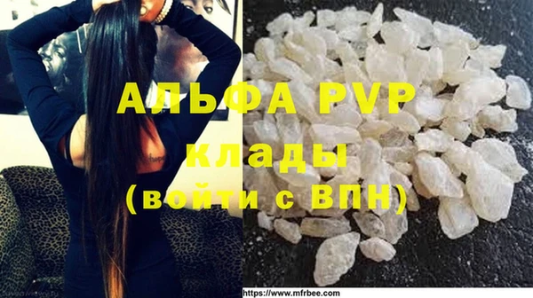 трава Белокуриха