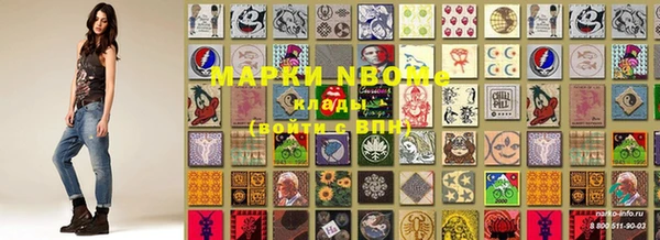 трава Белокуриха