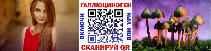 Псилоцибиновые грибы Psilocybine cubensis  Весьегонск 